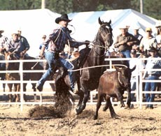 Chad on Harden at Cheyenne Pro Rodeo