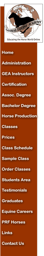 Global Equine Academy